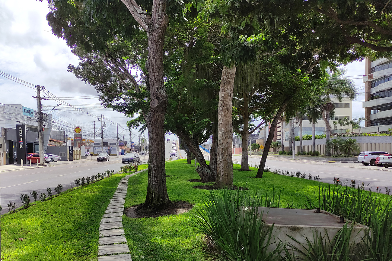 Foto: Reprodução/Prefeitura de Feira de Santana - BA